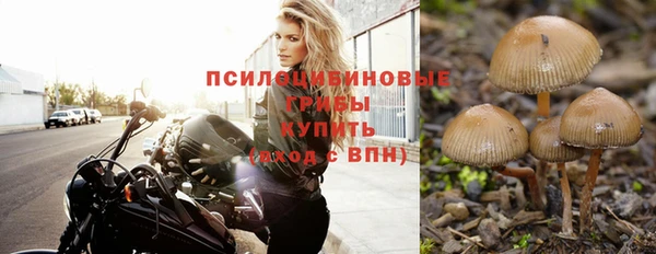 амф Баксан